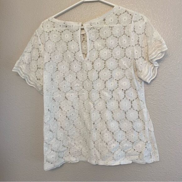 LOFT white lace crochet semi sheer crewneck blouse
top cotton nylon beachy M - Picture 2 of 9